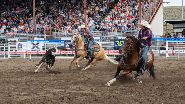 The Cody Nite Rodeo in Cody, WY