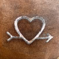 Williams Horse & Cattle Co.