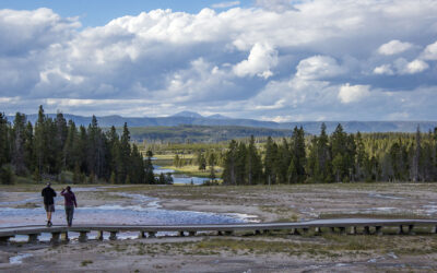 Reach the World: Free Workshop Helps Cody Businesses Tap Into International Tourism