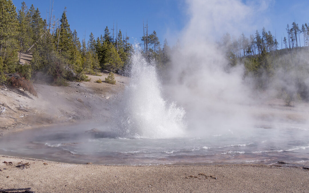 Echinus Geyser Reactivated in February 2026