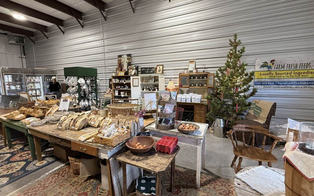 Hippy Cow: More than a Creamery