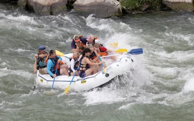 Vote for Cody in “Best Of” Contests