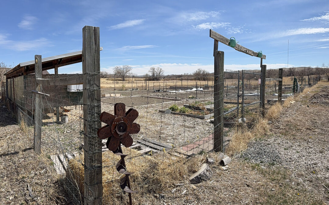 Dig In: Community Garden Welcomes New Gardeners for 2026