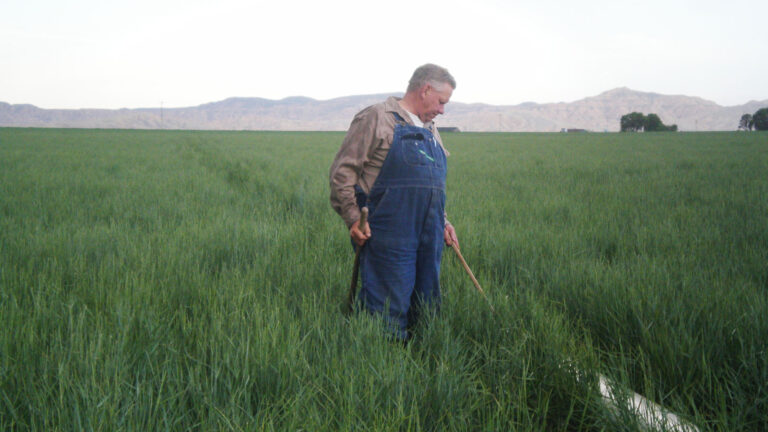 Park County Open Lands